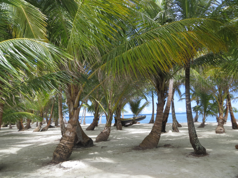 san blas isla perro