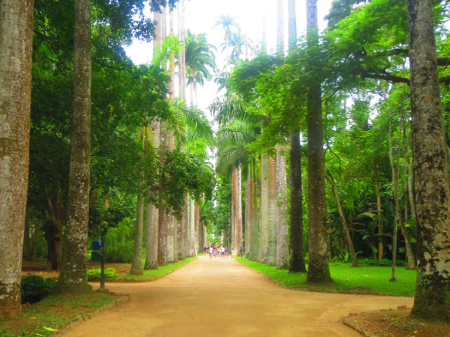 parque botanico