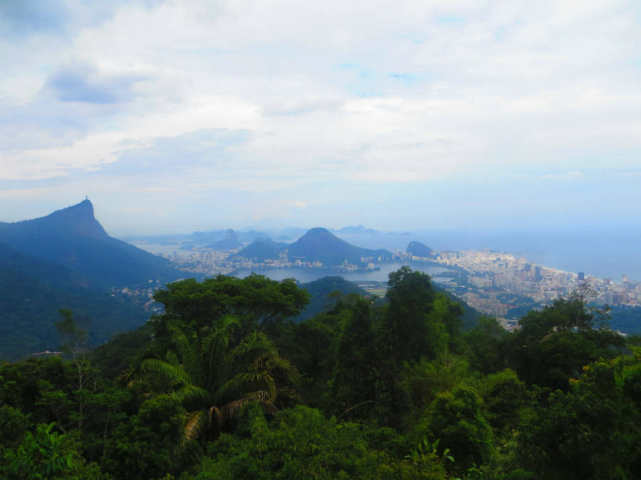 Tijuca forest