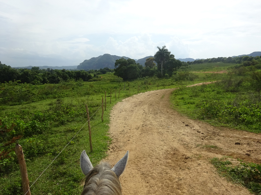 Vinales