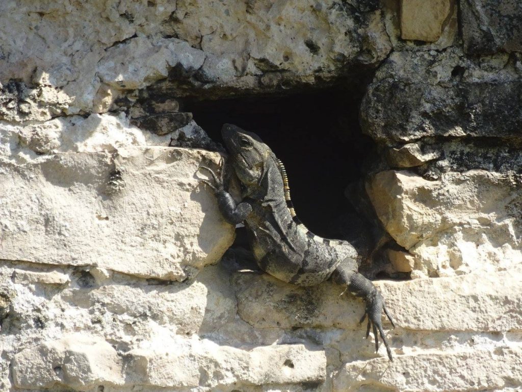 Tulum