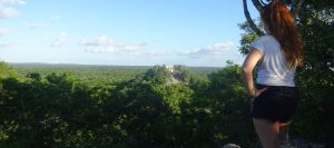 Banner calakmul