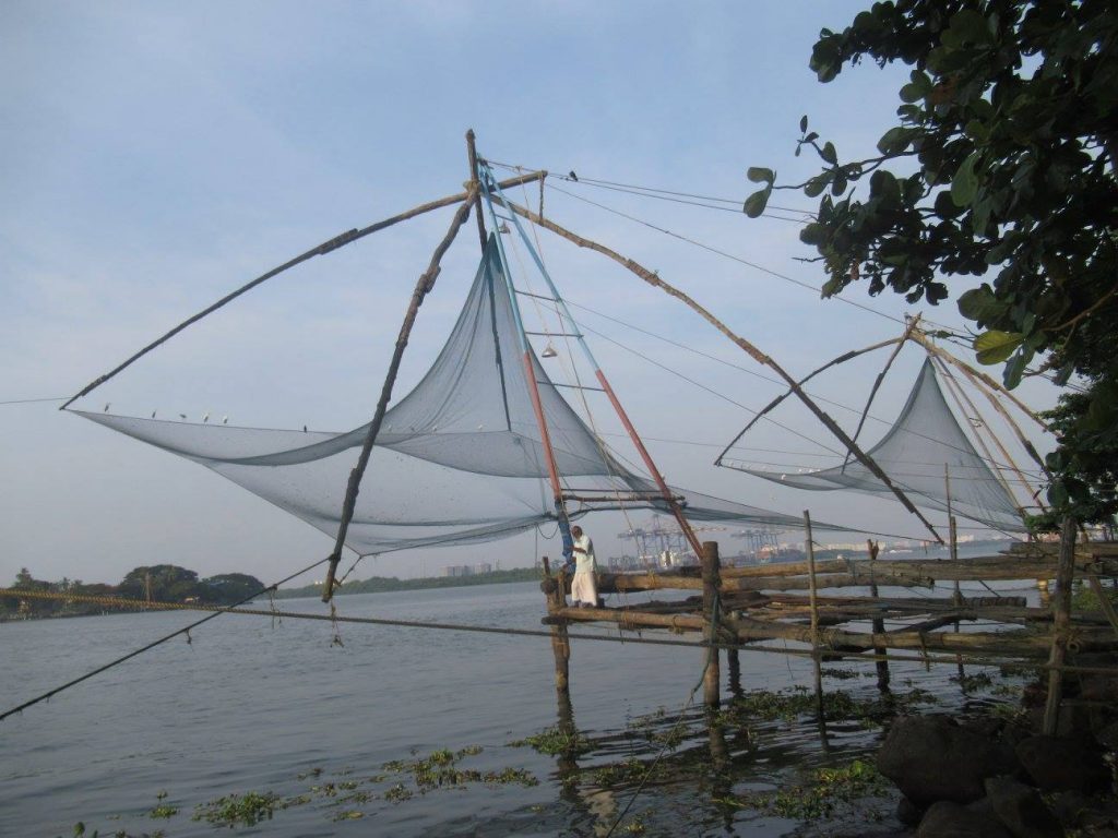 chinese nest kochi
