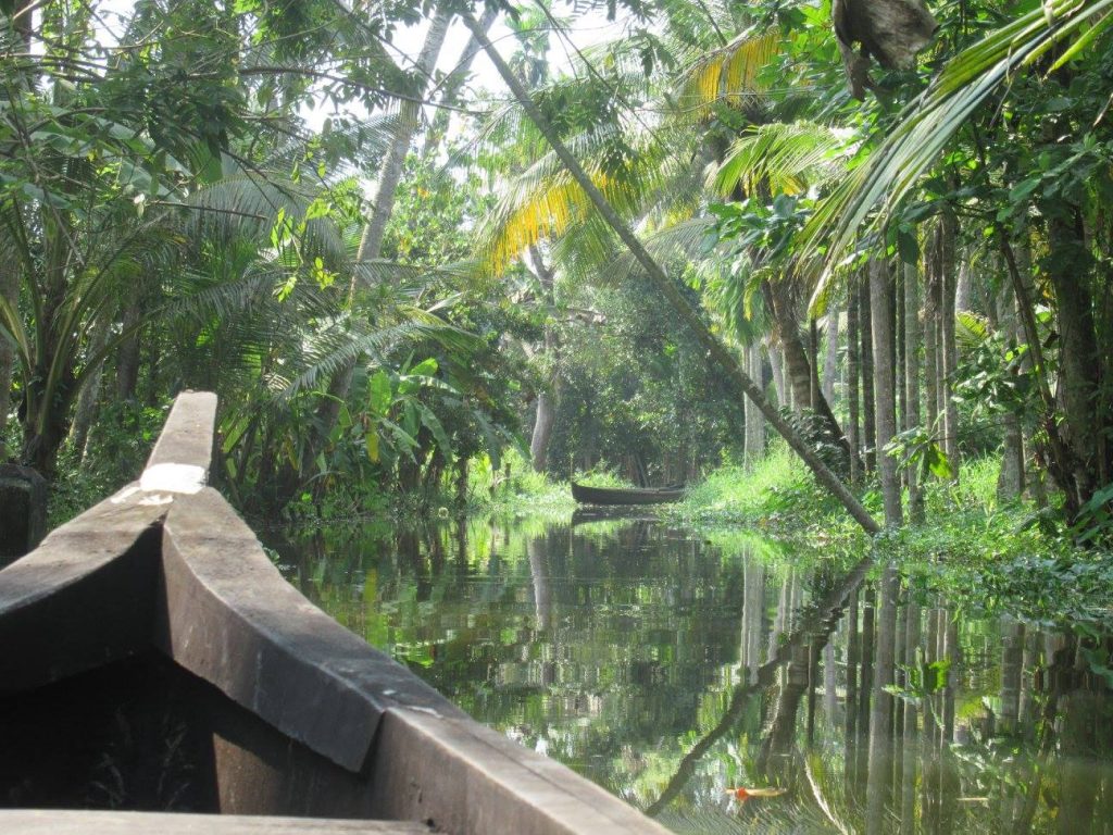 Backwaters alleppey