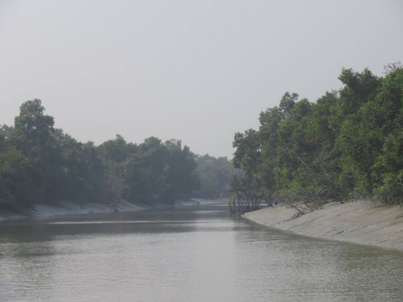 Sunderbans
