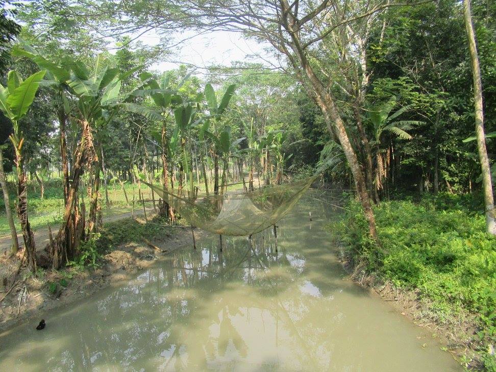 Barisal area