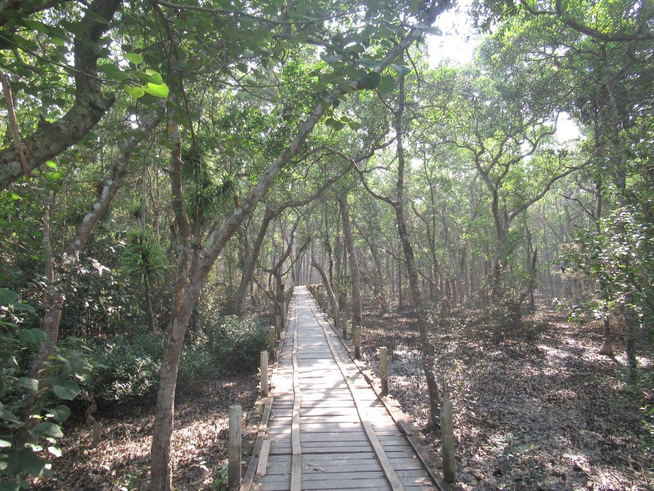 Talamjal forest