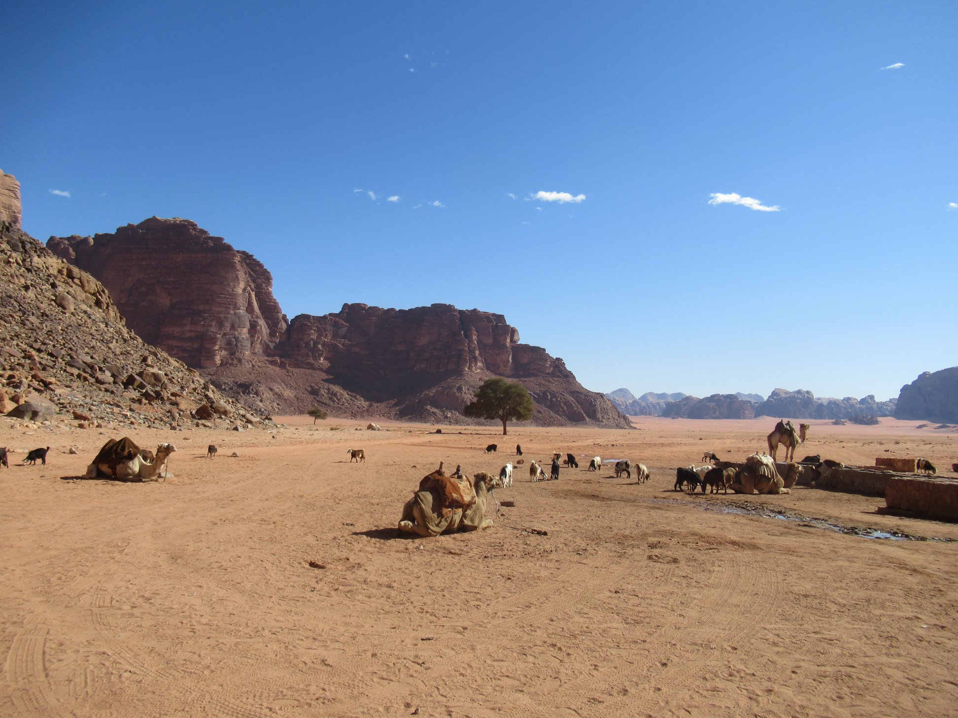 Wadi Rum, Jordan