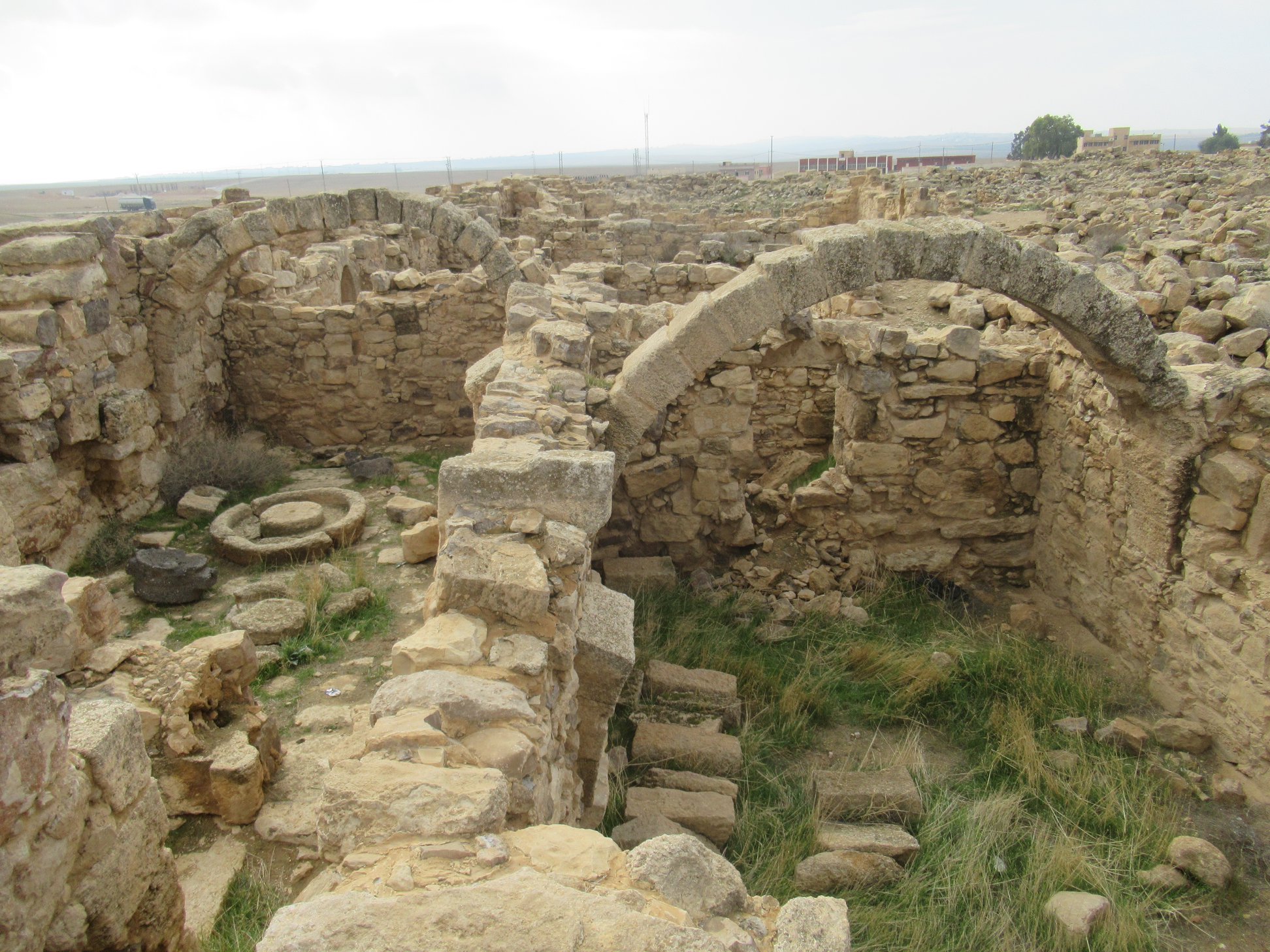 Umm el Rasas