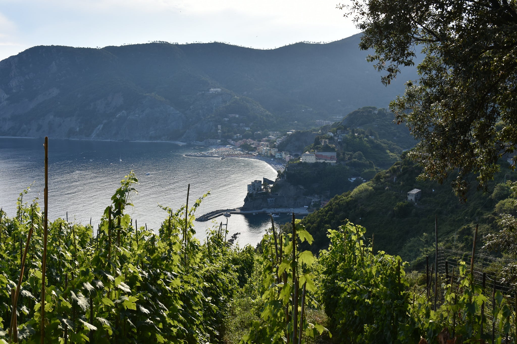 Monterosso