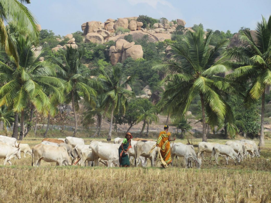 India